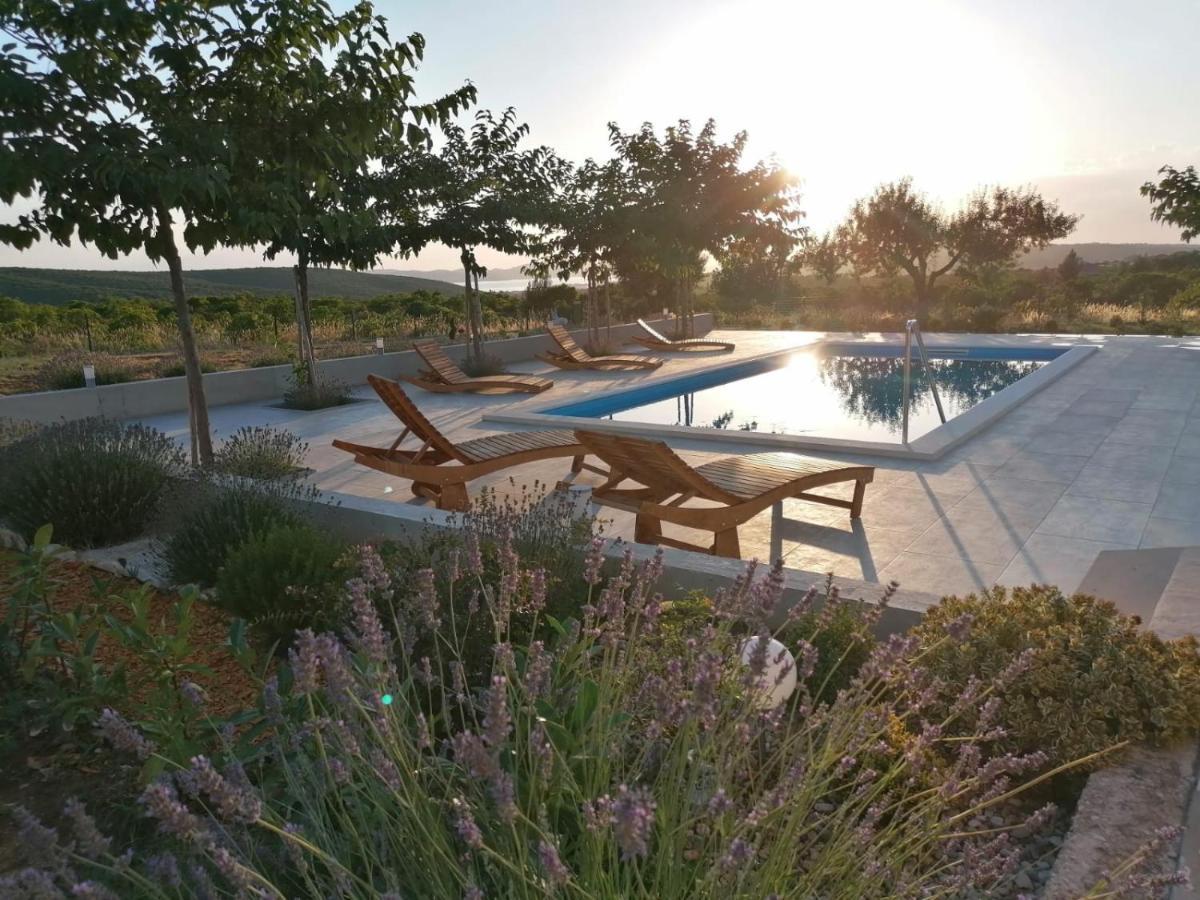 Villa Jelena Zadar Zewnętrze zdjęcie